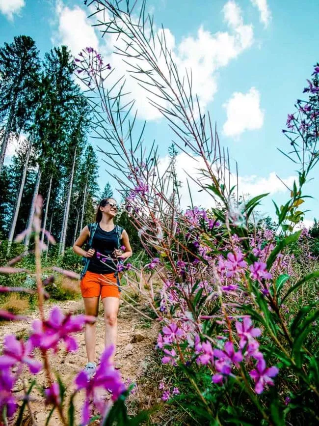 bayerischer wald weg nach schareben bayerischer wald Weg nach Schareben