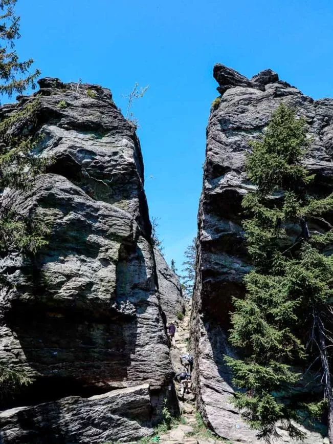 rauchroehren bayerischen wald Rauchröhren bayerischen Wald
