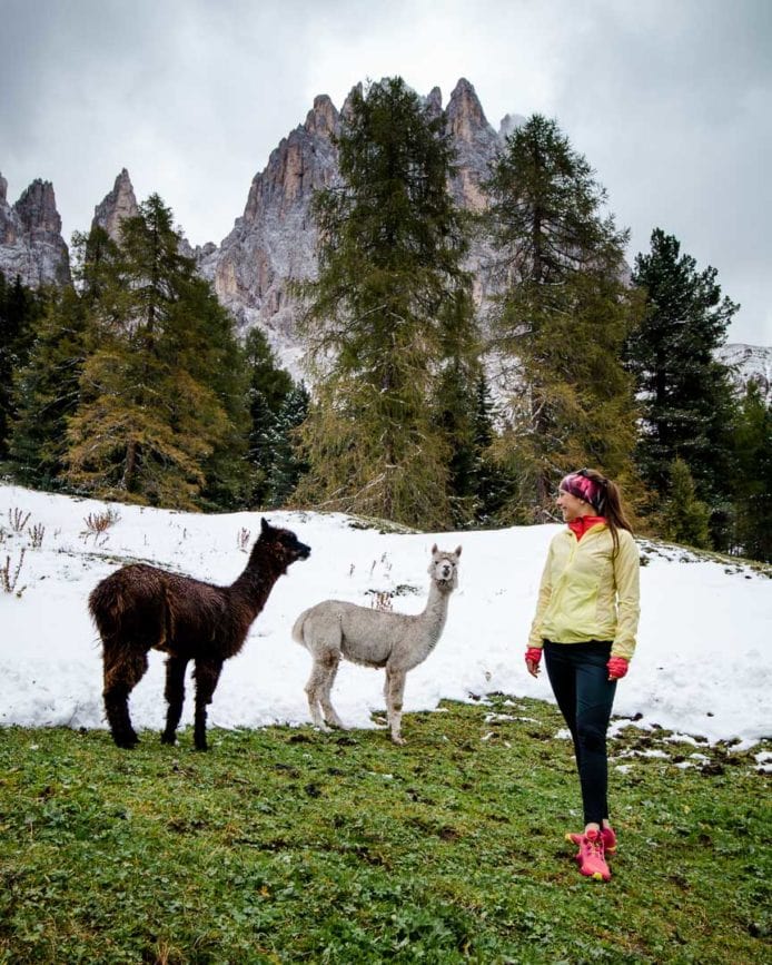 Rosengarten südtirol wandern
