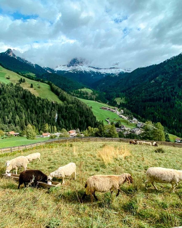 Rosengarten südtirol