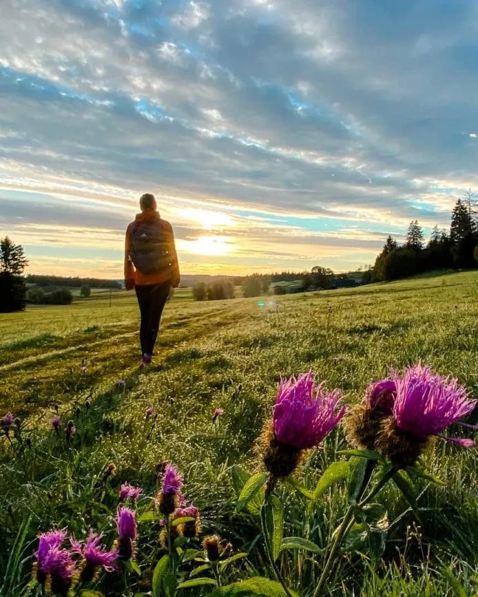 teaser franken fichtelgebirge frankenwalk fraenkische schweiz wandern 27 von 47