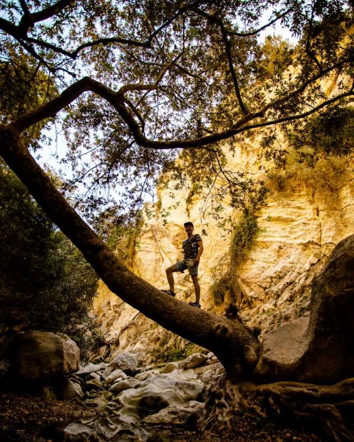 avakas schlucht zypern