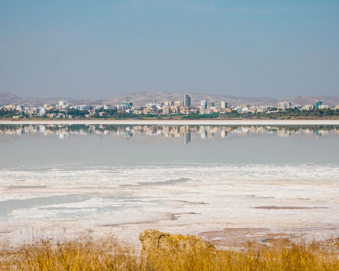 larnaka salzsee