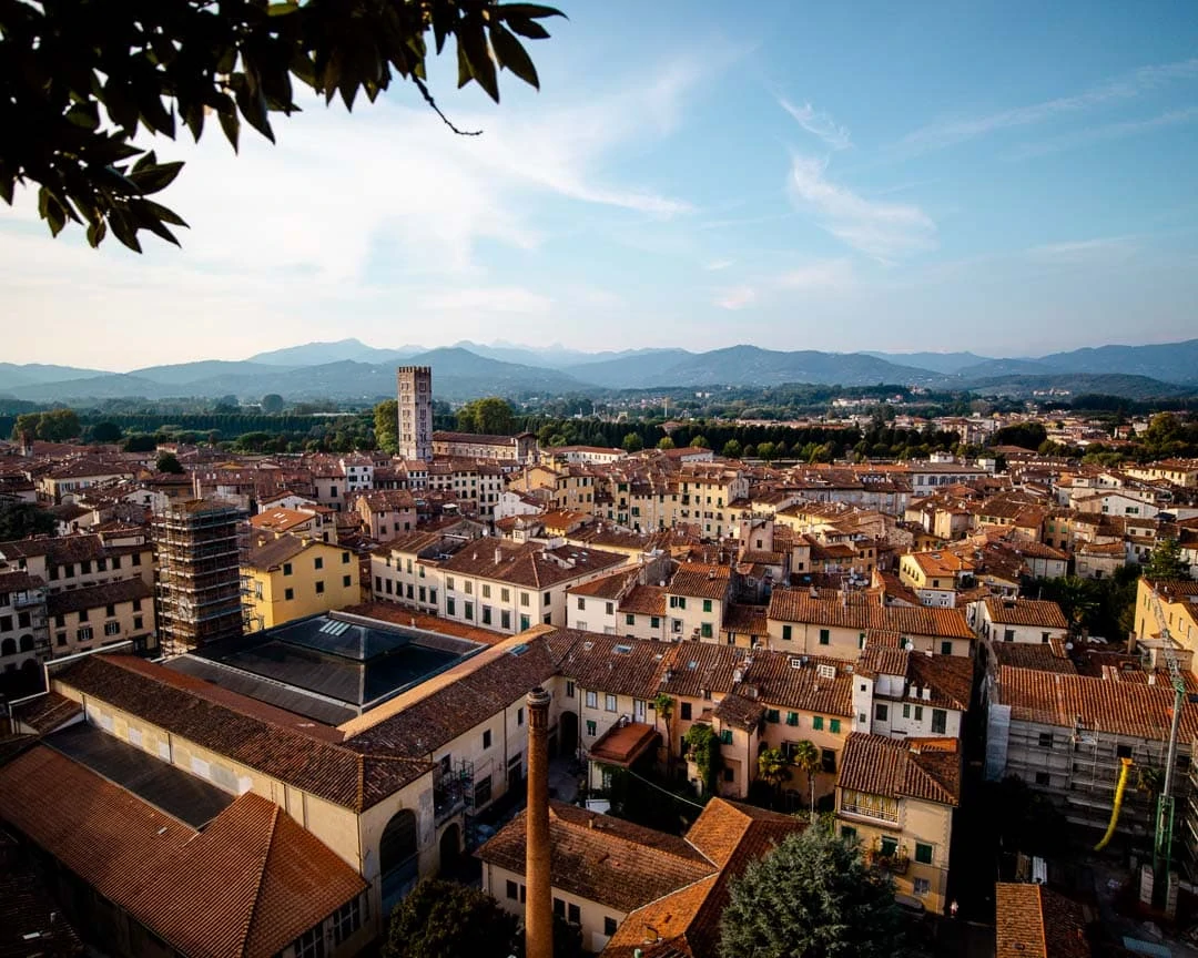 lucca torre guinigi