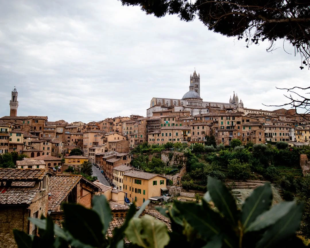 toskana siena terrazza panoramica toskana siena terrazza panoramica