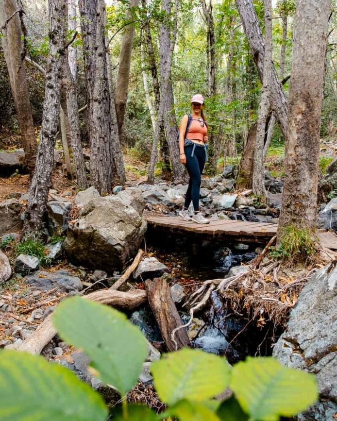 troodos gebirge caledonia trail 2