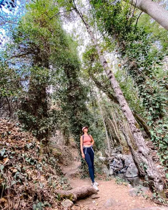 troodos gebirge caledonia trail