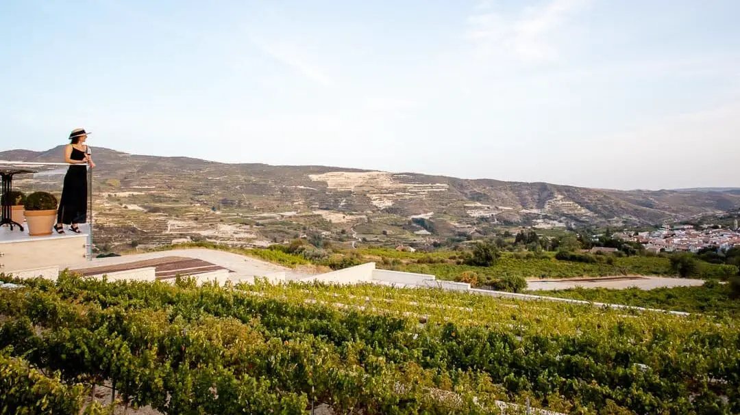 troodos gebirge Weingut Ktima Vassiliades