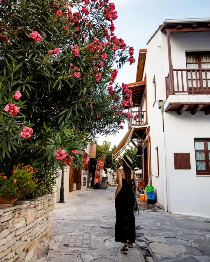 troodos gebirge zypern omodos gasse