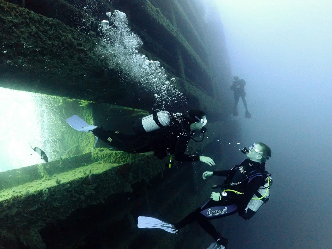 zenobia schiffswrack Zenobia Schiffswrack
