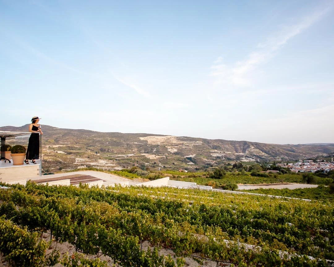 zypern ktima vassiliades zypern Ktima Vassiliades