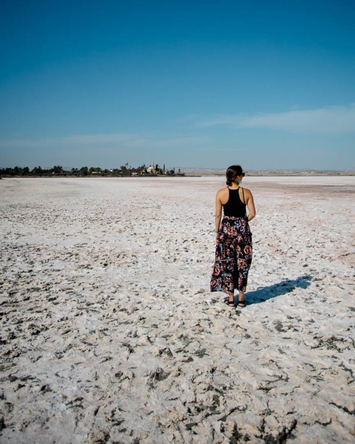 zypern larnaka salzsee