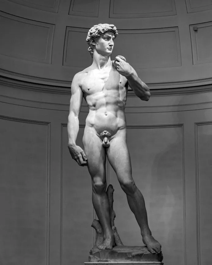 david von michelangelo