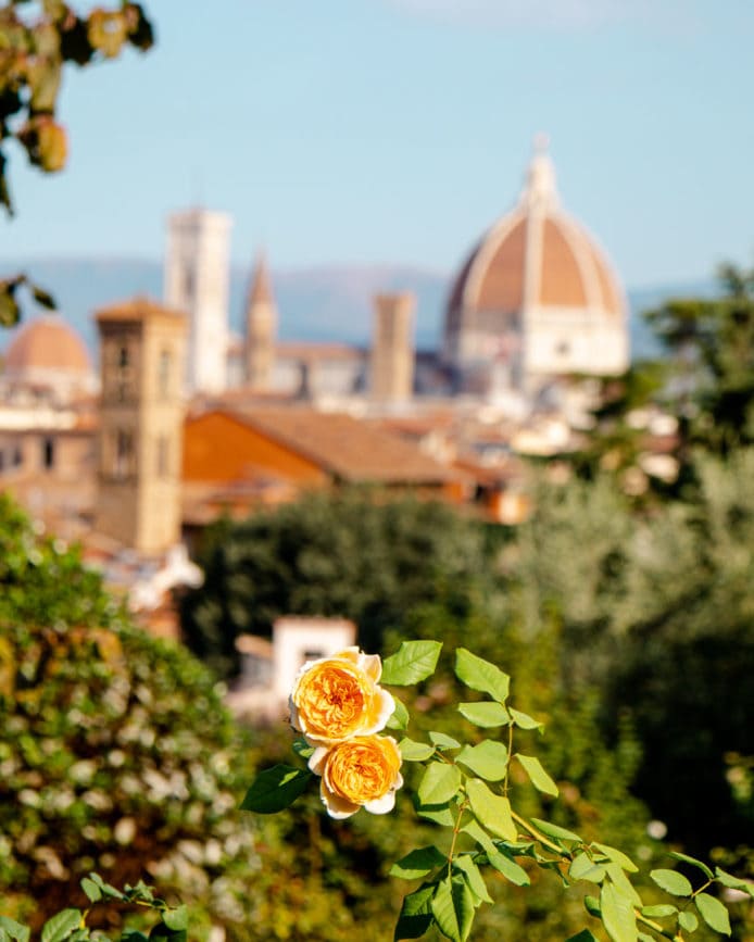 Florenz Rosengarten 3