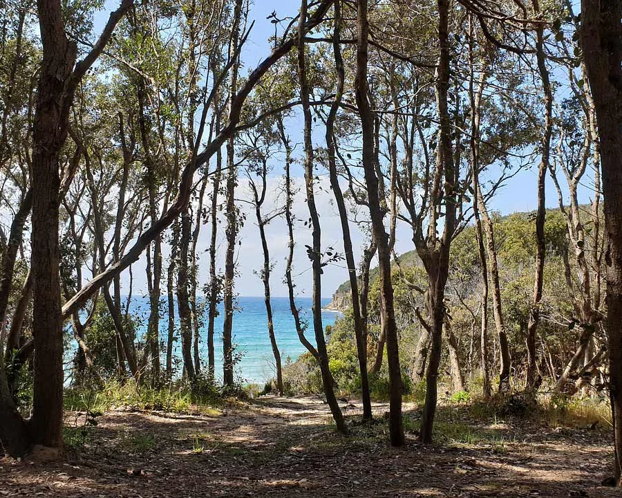 parco regionale della maremma toskana Parco Regionale della Maremma toskana