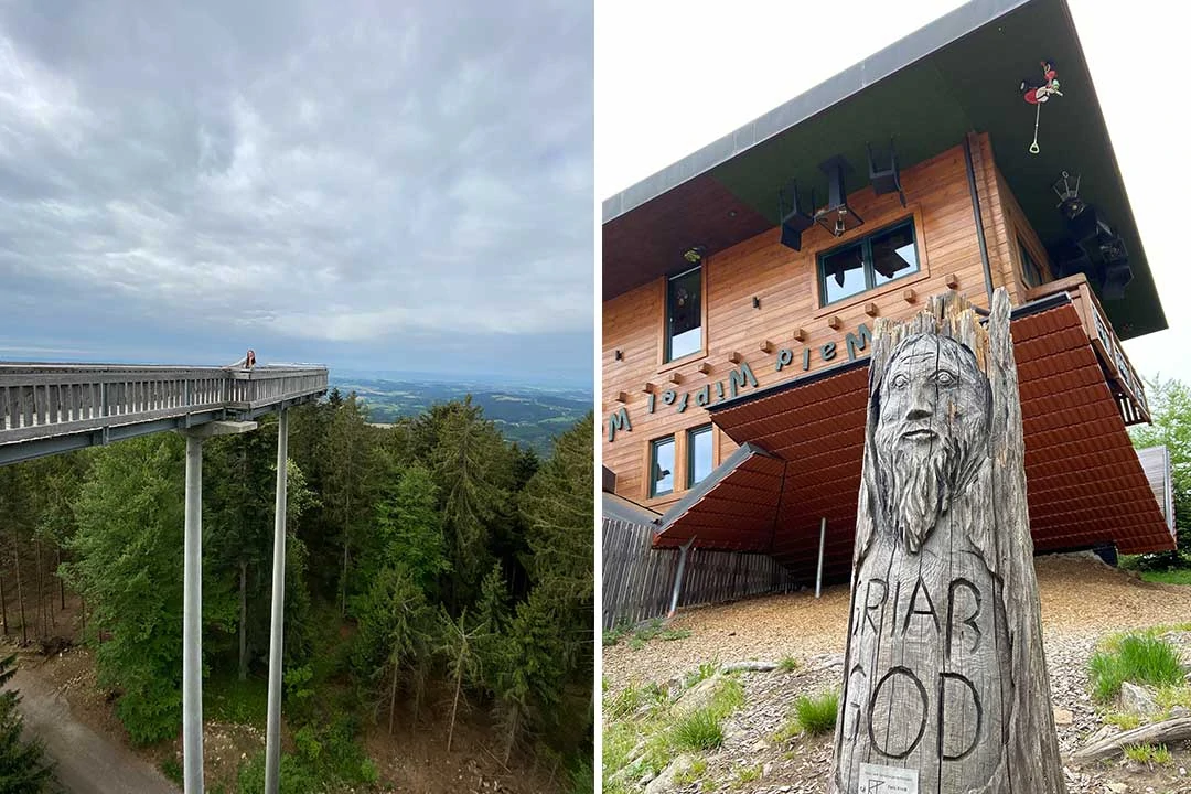 freizeitaktivitaet baumwipfelweg