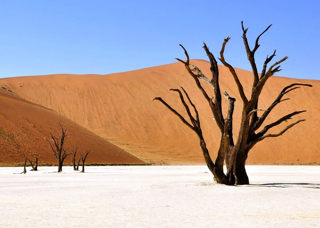namibia2 namibia2
