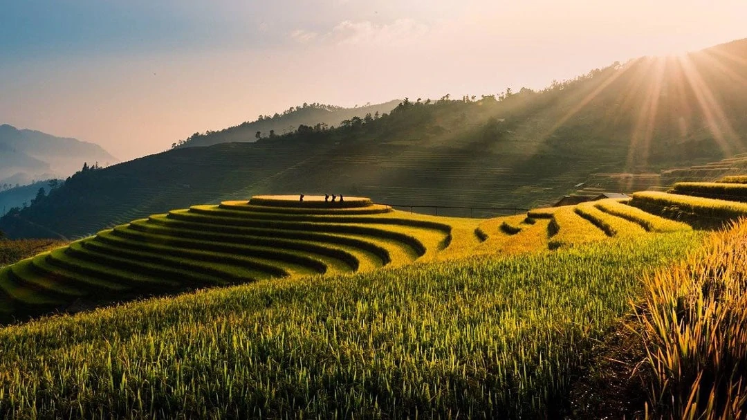 vietnam reisterrassen vietnam reisterrassen