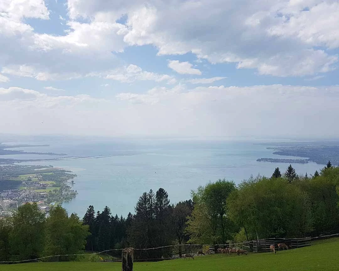 oesterreich bregenz