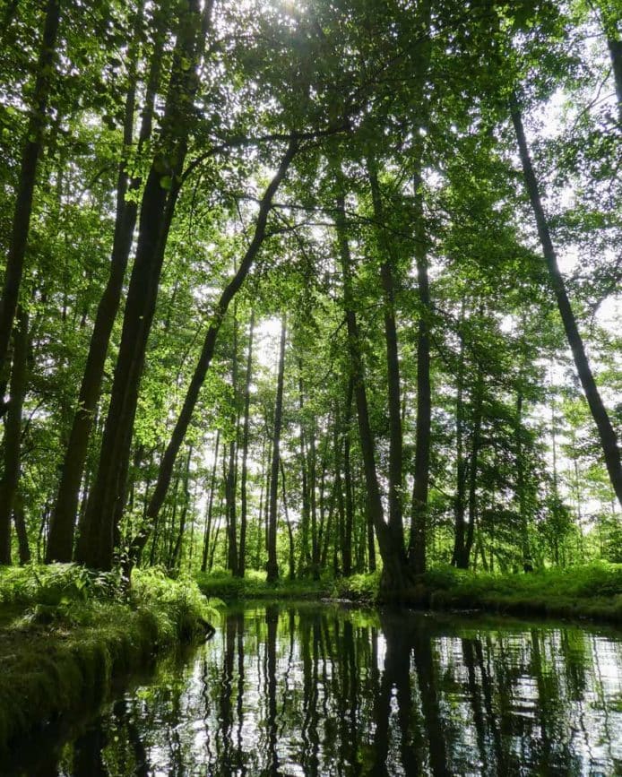 Roadtrip durch Ostdeutschland: Spreewald