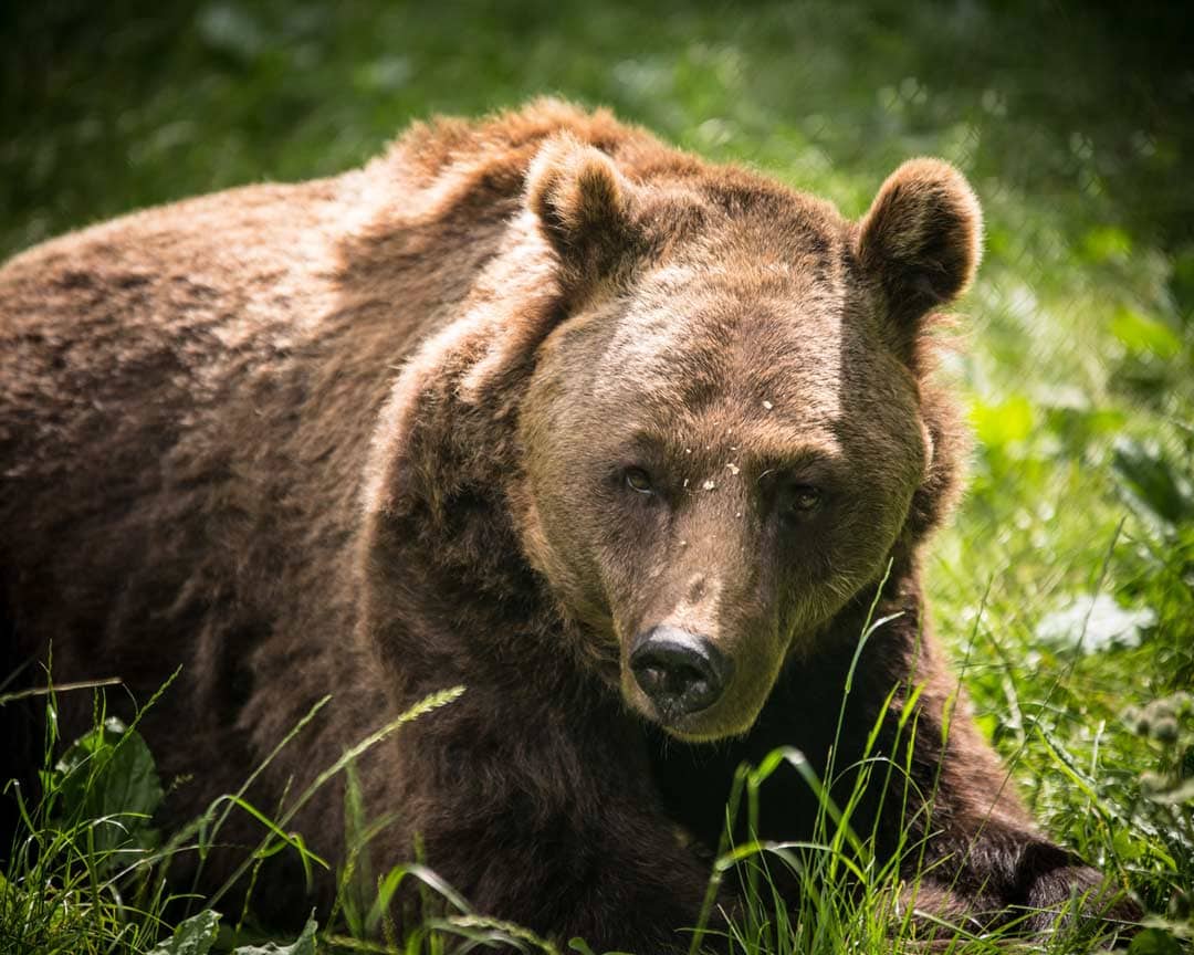 Ostdeutschland Roadtrip Route und Tipps