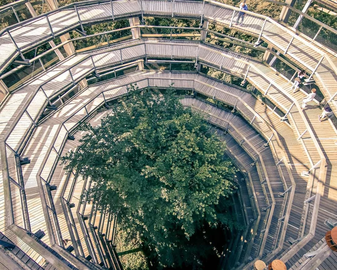 22 Baumwipfelpfad Ostdeutschland Roadtrip nach Rügen