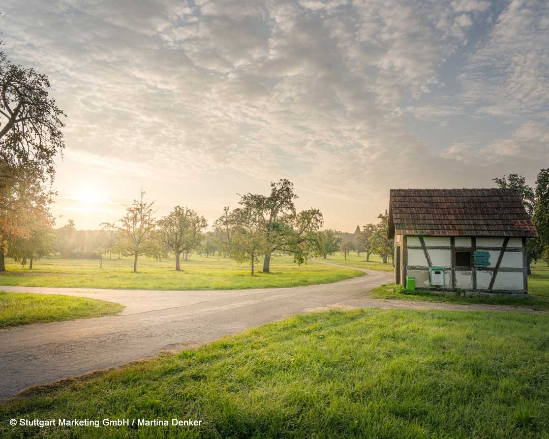 Waldenbuch Herzog Jäger Pfad c SMG Martina Denker