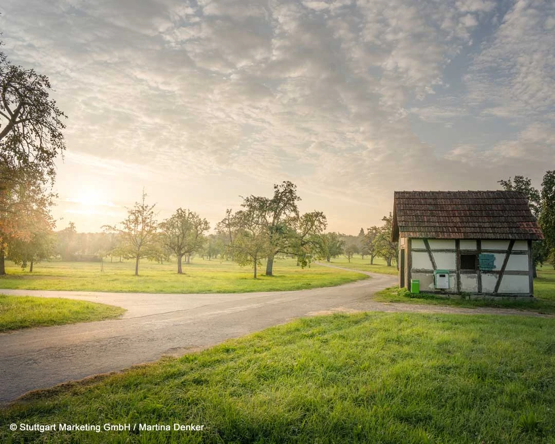 Waldenbuch Herzog Jäger Pfad c SMG Martina Denker