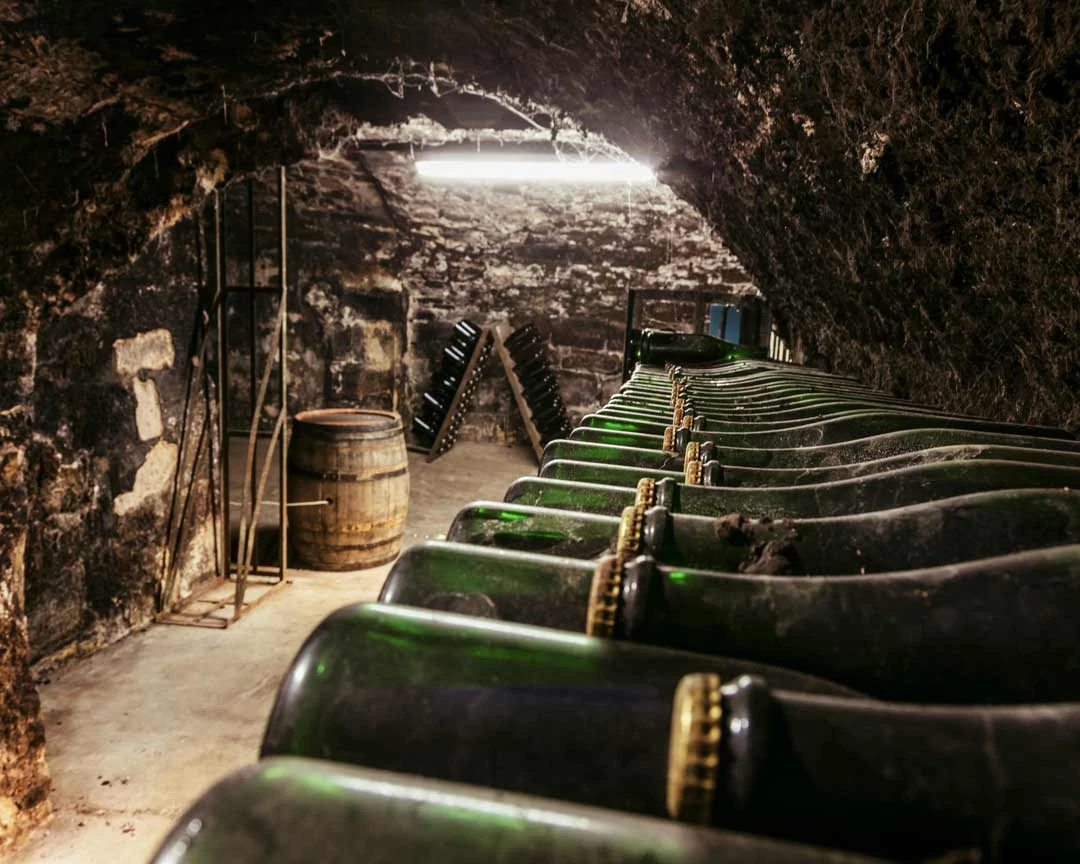 sekt keller esslingen