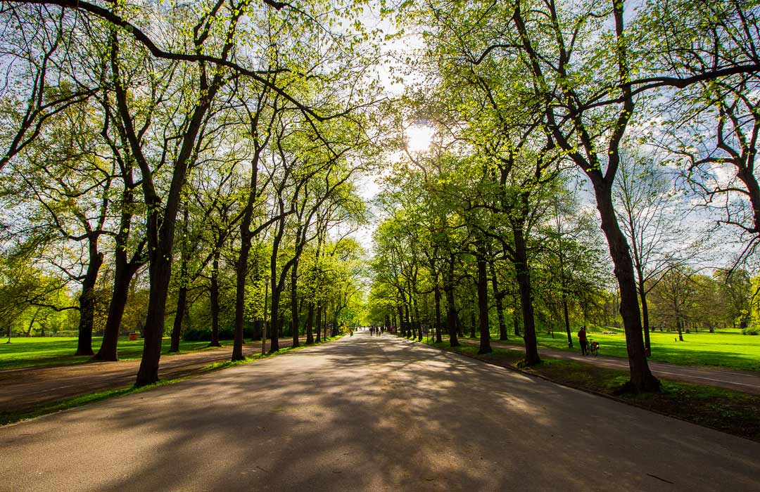 Clara Zetkin Park Allee Freizeit Natur Grünes Leipzig Tom Williger leipzig.travel