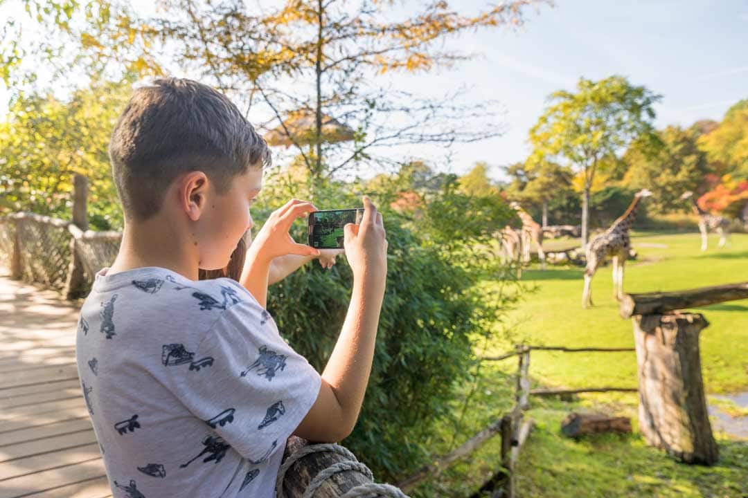 Zoo Giraffe Brücke Freizeit Familie Sehenswürdigkeiten Philipp Kirschner leipzig.travel