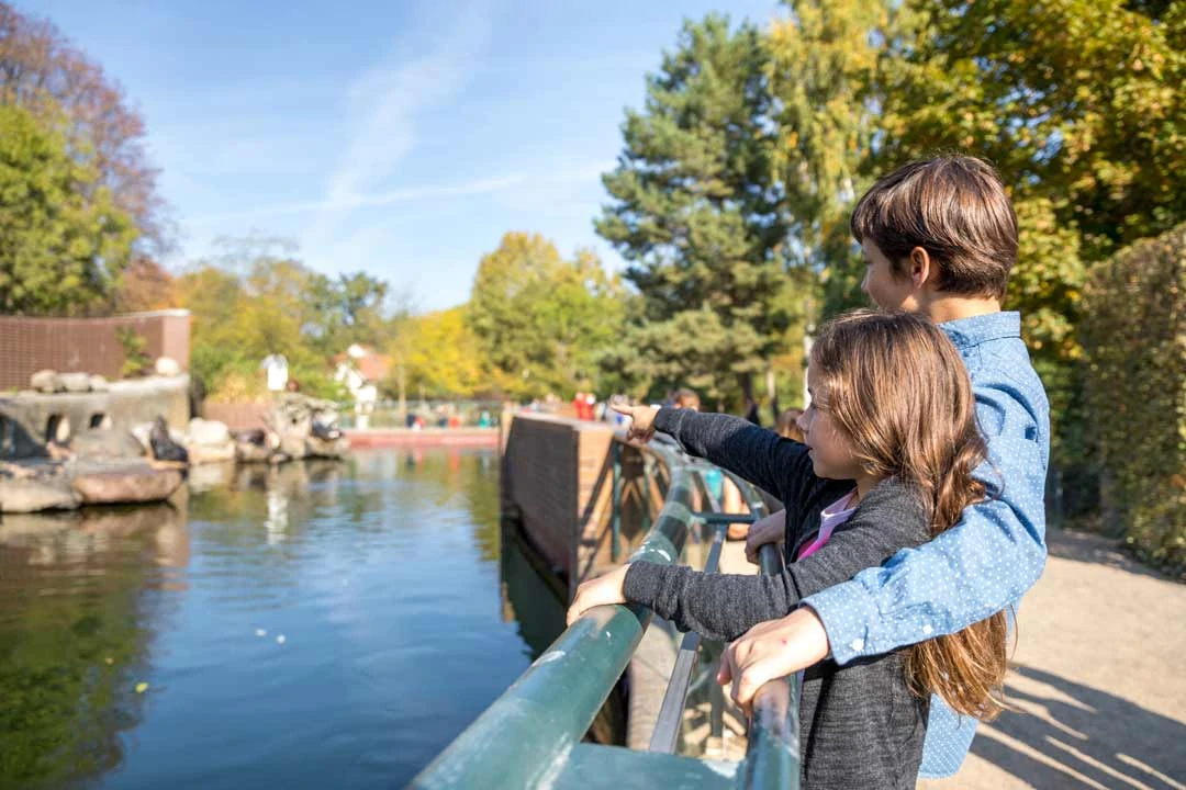 Zoo Kinder Seerobben Familie Freizeit Philipp Kirschner leipzig.travel