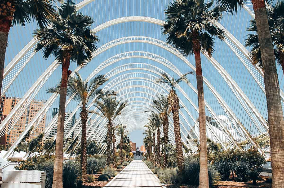 valencia ciutat de les arts i les ciencies 2