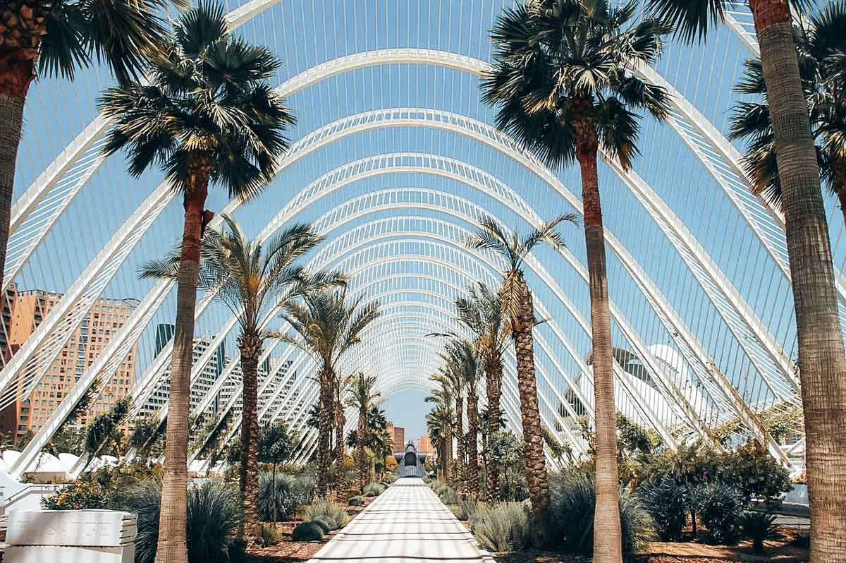 valencia ciutat de les arts i les ciencies 2