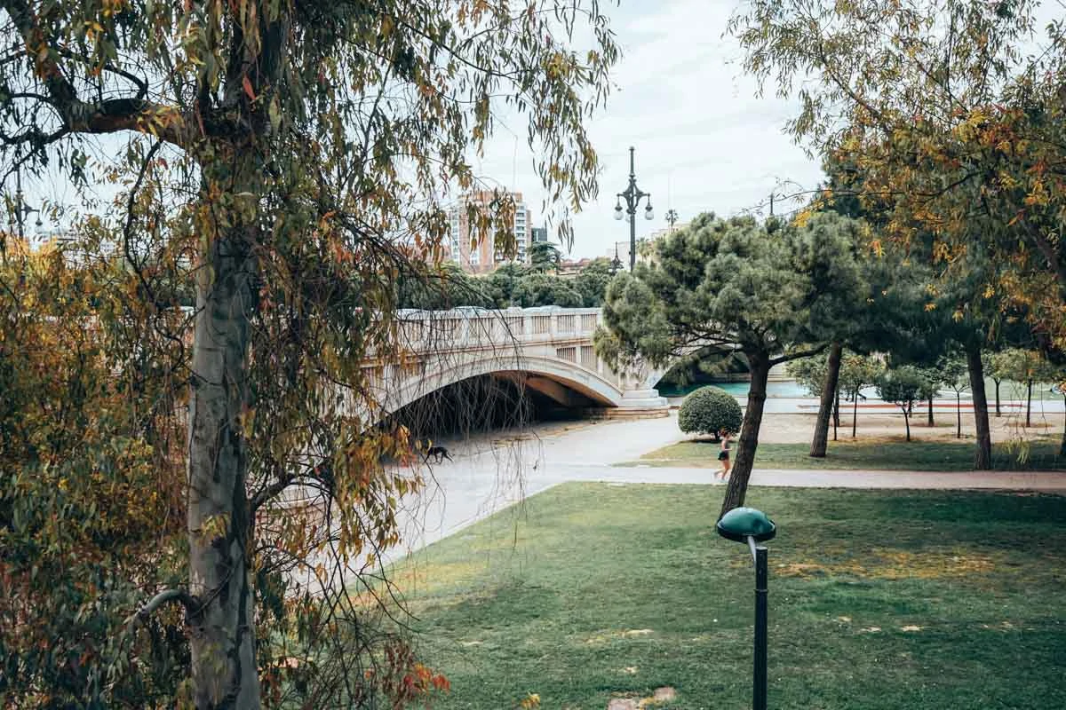 valencia jardin del turia