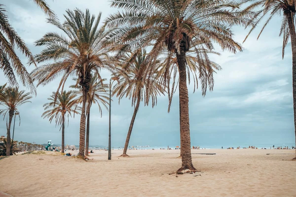 valencia playa de la malvarrosa