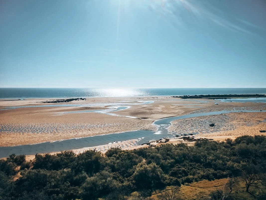 algarve ria formosa