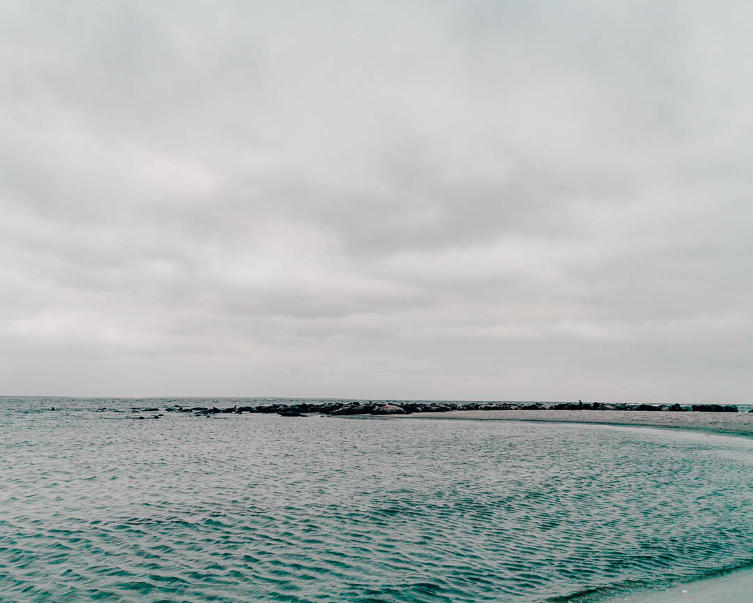 maklaeppen naturschtzgebiet