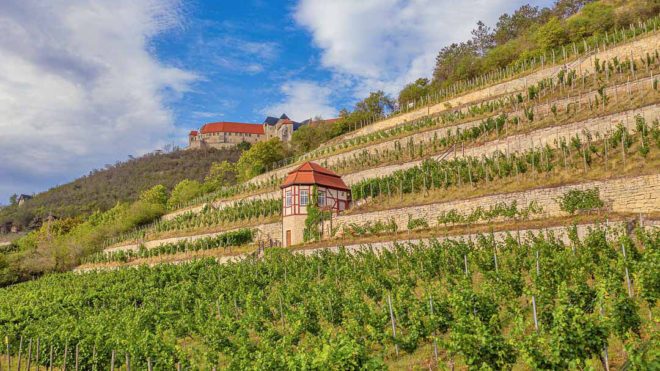 Region SaaleUnstrut Sehenswürdigkeiten & Tipps für einen Urlaub