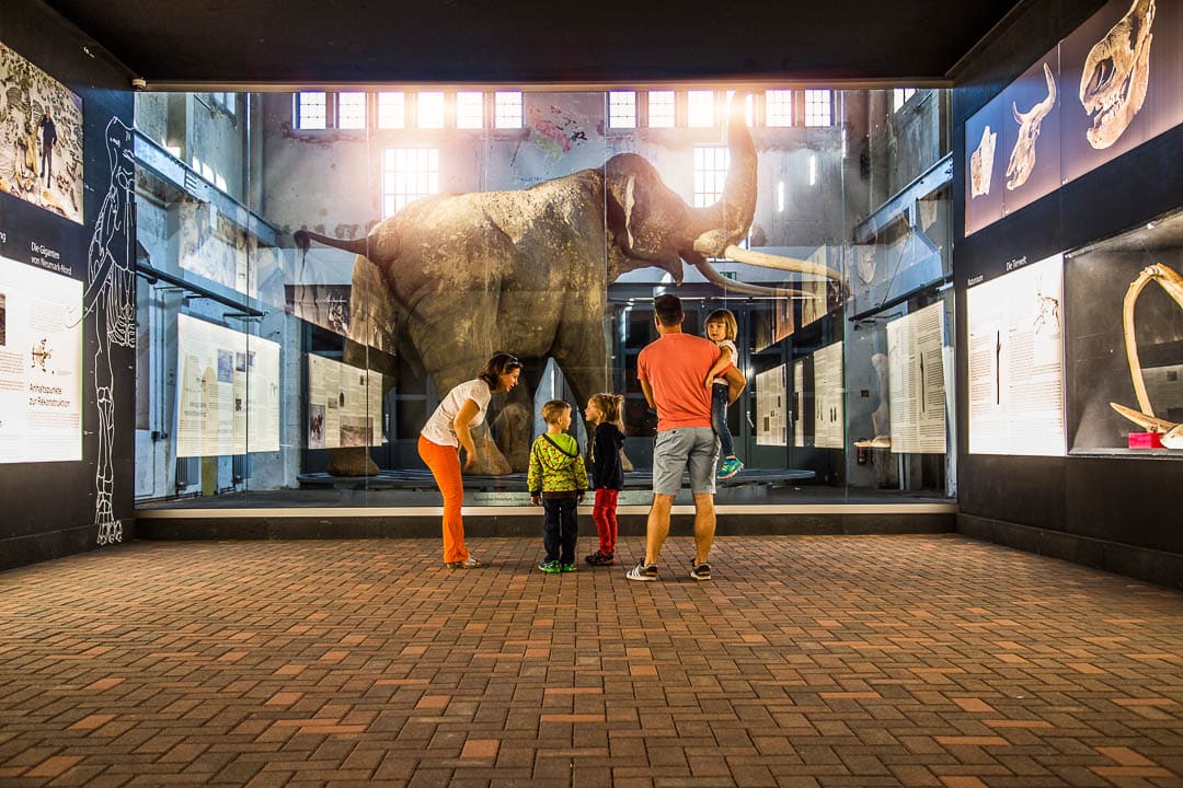 Pfännerhall Braunsbedra