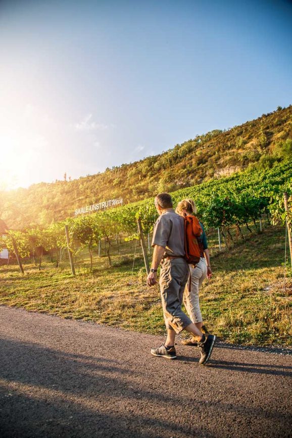 Saalehaäsuer Weinberge Bad Kösen 5