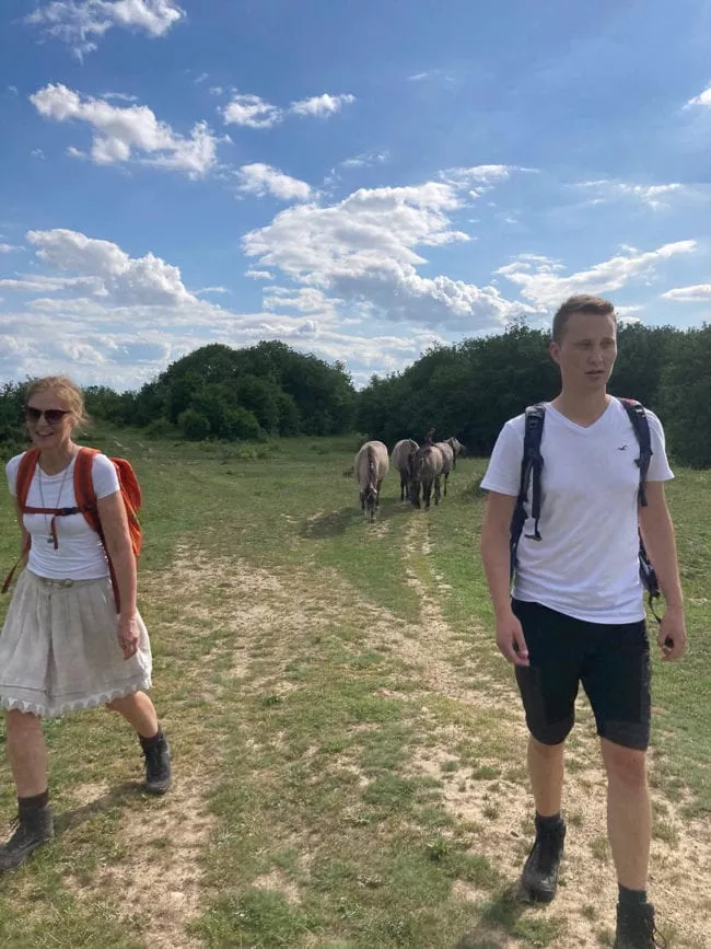 freyburg rundweg roedel wildpferde koniks c sut kristin koch 7 freyburg rundweg roedel wildpferde koniks c sut kristin koch 7