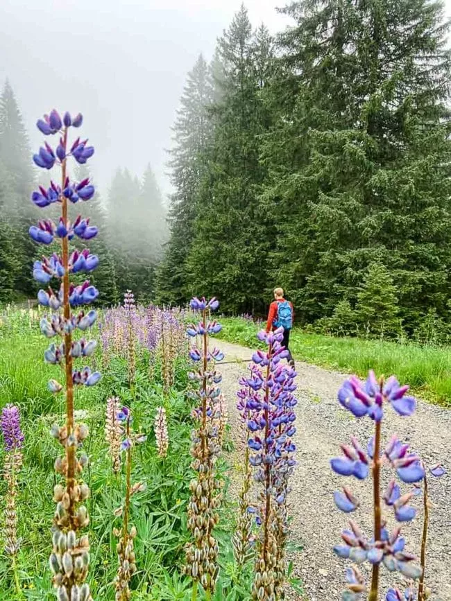 Wanderung Montafon Gargellner Fenster