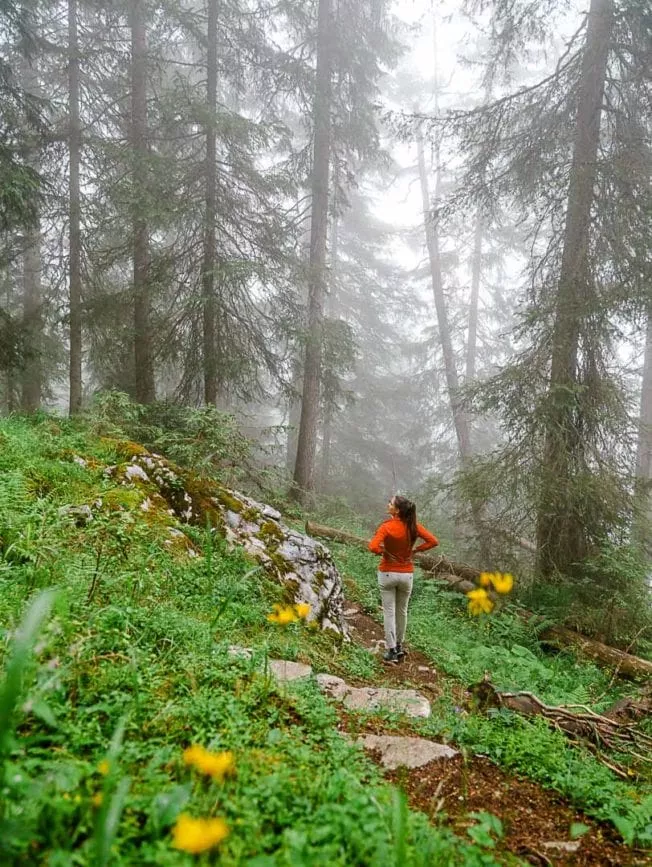 Wanderung Montafon Gargellner Fenster