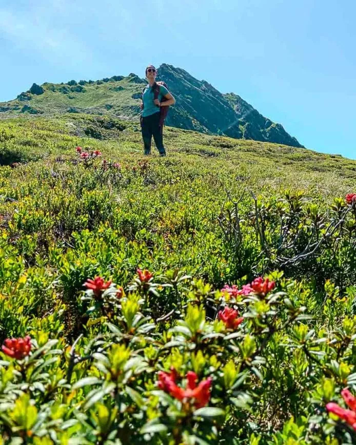 Wandern Montafon Alpguesalpe