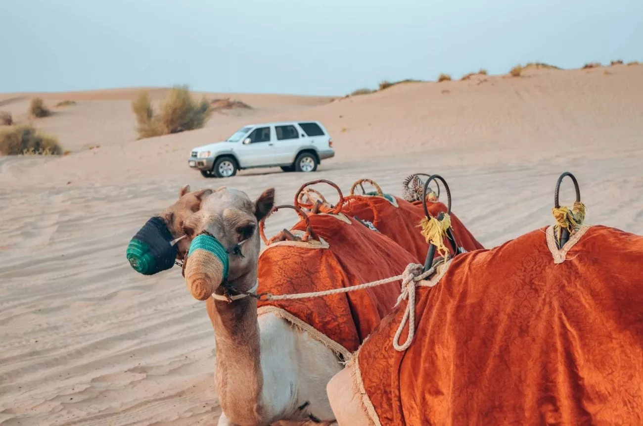 Dubai Sehenswürdigkeiten Wüstensafari