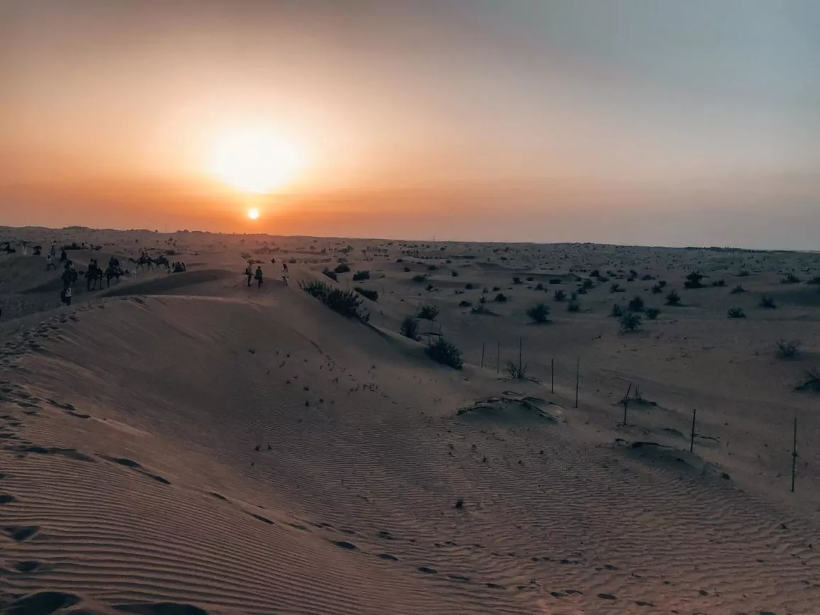 Dubai Sehenswürdigkeiten Wüstensafari