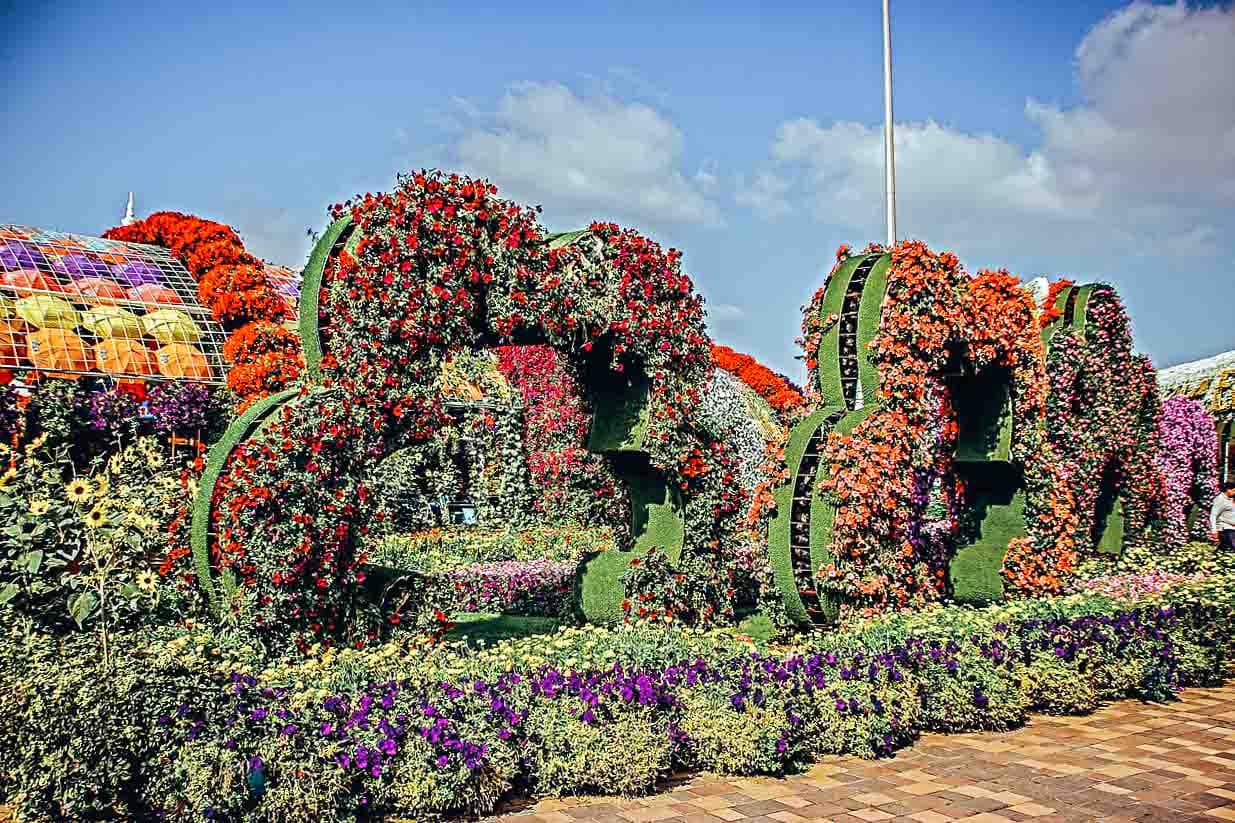 Dubai Sehenswürdigkeiten Miracle Garden