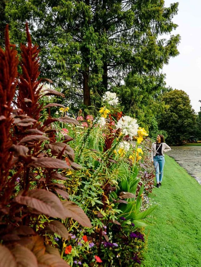 Blumeninsel Siebenbergen