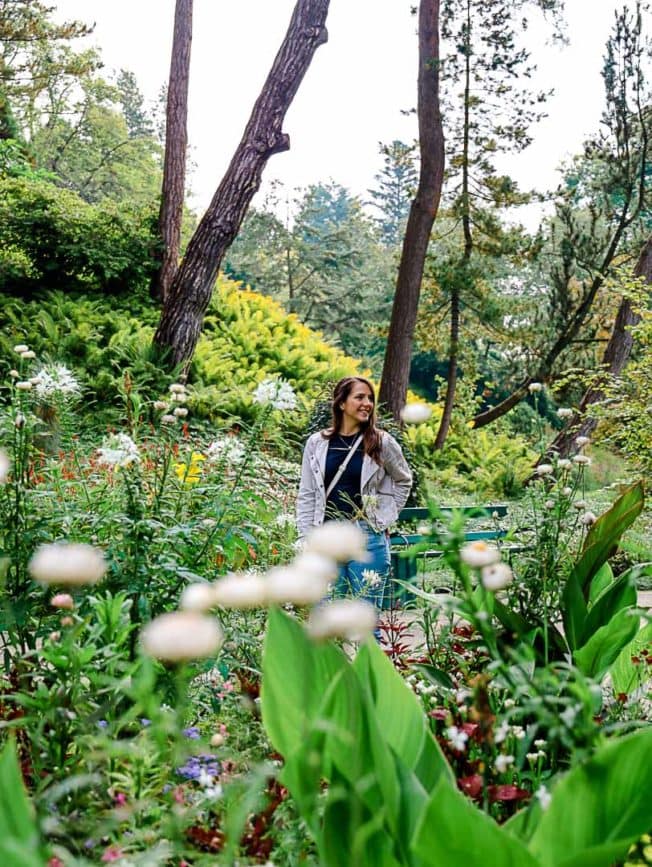 Blumeninsel Siebenbergen Kassel